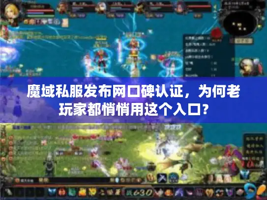 魔域私服发布网口碑认证，为何老玩家都悄悄用这个入口？
