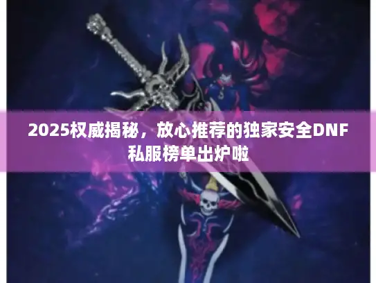 2025权威揭秘，放心推荐的独家安全DNF私服榜单出炉啦