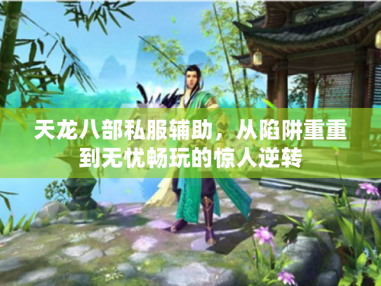 天龙八部私服辅助，从陷阱重重到无忧畅玩的惊人逆转