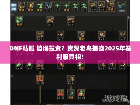 DNF私服 值得投资?资深老鸟揭晓2025年暴利服真相! DNF私服 值得投资?资深老鸟揭晓2025年暴利服真相!