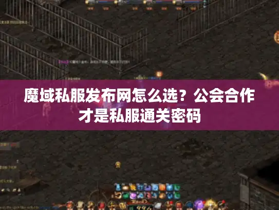 魔域私服发布网怎么选？公会合作才是私服通关密码