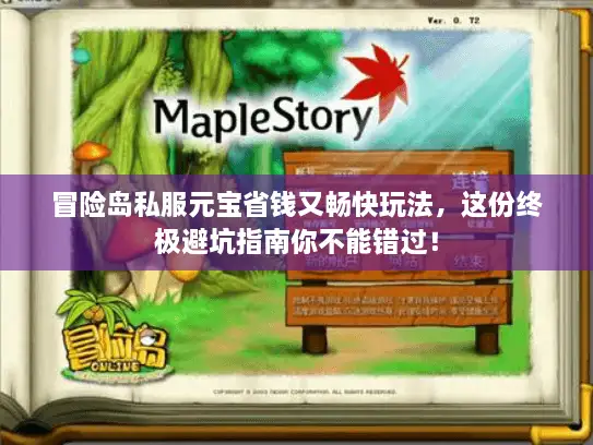 冒险岛私服元宝省钱又畅快玩法，这份终极避坑指南你不能错过！