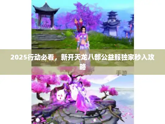 2025行动必看，新开天龙八部公益服独家秒入攻略