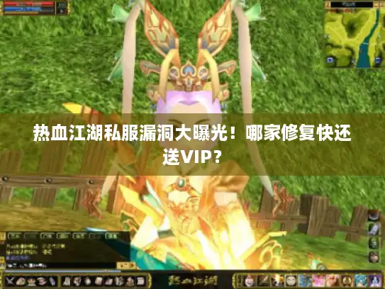 热血江湖私服漏洞大曝光！哪家修复快还送VIP？