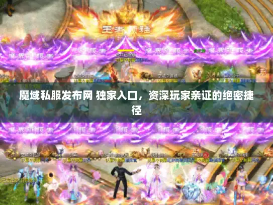 魔域私服发布网 独家入口，资深玩家亲证的绝密捷径