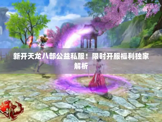 新开天龙八部公益私服！限时开服福利独家解析