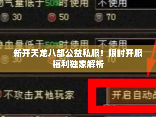 新开天龙八部公益私服！限时开服福利独家解析