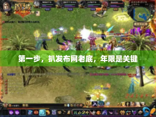 第一步，扒发布网老底，年限是关键