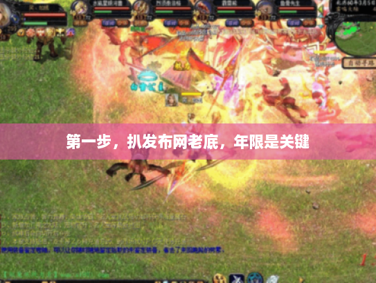 第一步，扒发布网老底，年限是关键