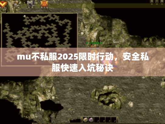 mu不私服2025限时行动，安全私服快速入坑秘诀
