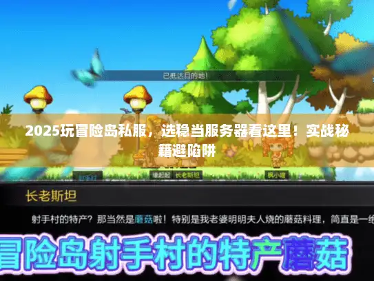 2025玩冒险岛私服，选稳当服务器看这里！实战秘籍避陷阱