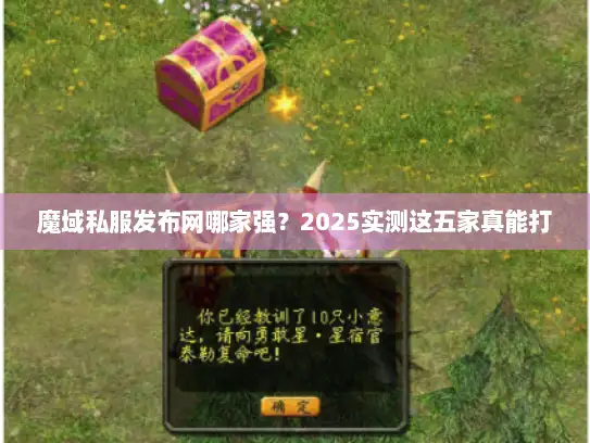 魔域私服发布网哪家强？2025实测这五家真能打