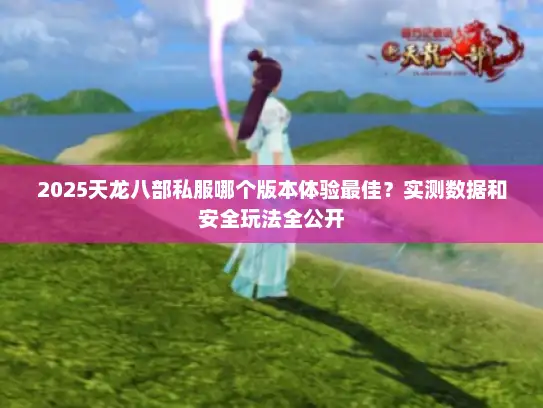 2025天龙八部私服哪个版本体验最佳？实测数据和安全玩法全公开