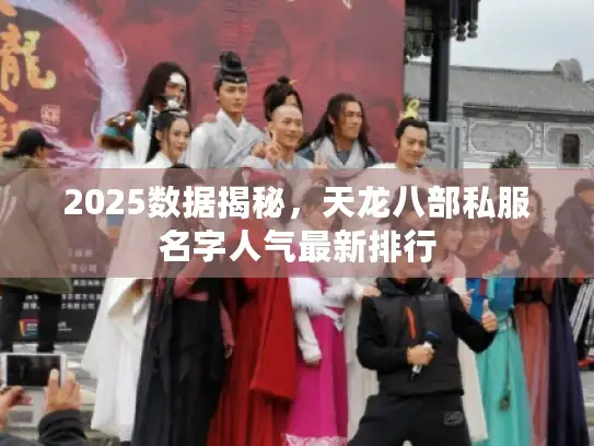 2025数据揭秘，天龙八部私服名字人气最新排行