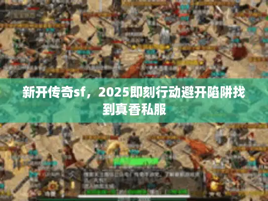 新开传奇sf，2025即刻行动避开陷阱找到真香私服