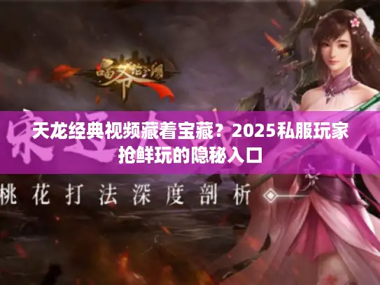 天龙经典视频藏着宝藏？2025私服玩家抢鲜玩的隐秘入口