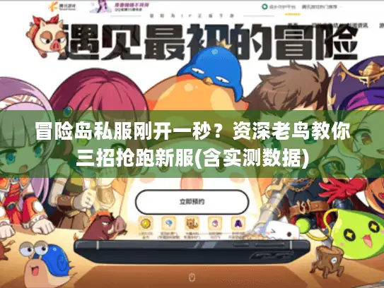 冒险岛私服刚开一秒？资深老鸟教你三招抢跑新服(含实测数据)