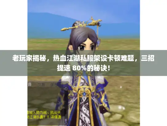 老玩家揭秘，热血江湖私服架设卡顿难题，三招提速 80%的秘诀！