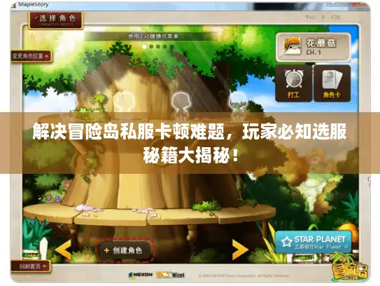 解决冒险岛私服卡顿难题，玩家必知选服秘籍大揭秘！