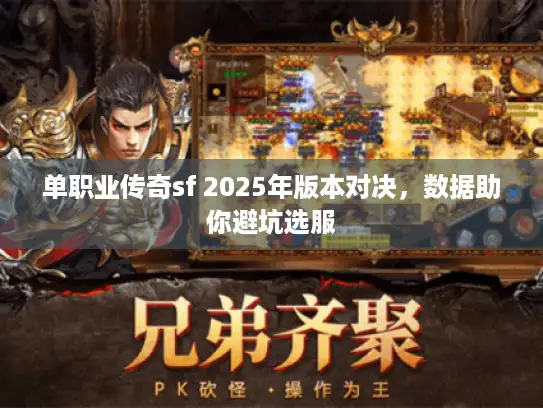 单职业传奇sf 2025年版本对决，数据助你避坑选服
