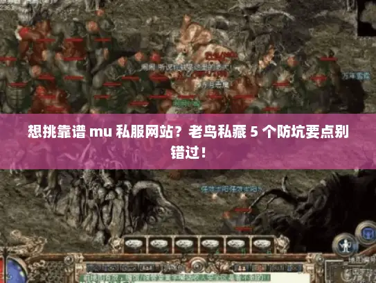 想挑靠谱 mu 私服网站？老鸟私藏 5 个防坑要点别错过！