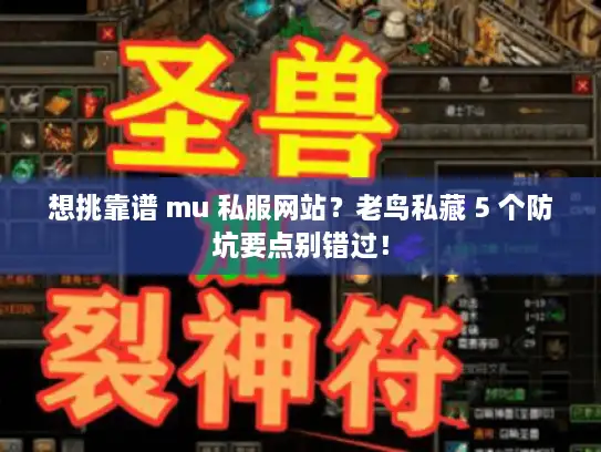 想挑靠谱 mu 私服网站？老鸟私藏 5 个防坑要点别错过！
