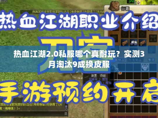 热血江湖2.0私服哪个真耐玩？实测3月淘汰9成换皮服