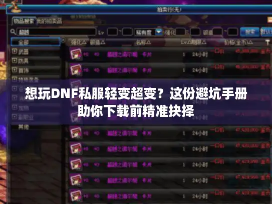 想玩DNF私服轻变超变？这份避坑手册助你下载前精准抉择