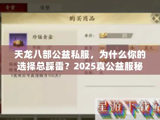 天龙八部公益私服，为什么你的选择总踩雷？2025真公益服秘诀揭晓