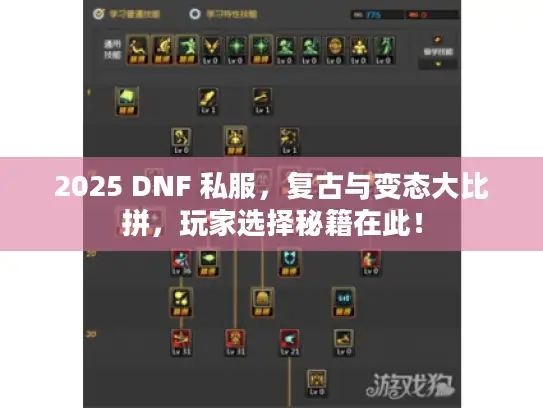 2025 DNF 私服，复古与变态大比拼，玩家选择秘籍在此！