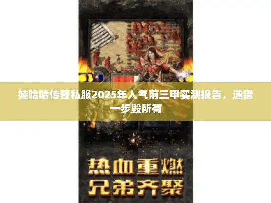 娃哈哈传奇私服2025年人气前三甲实测报告，选错一步毁所有
