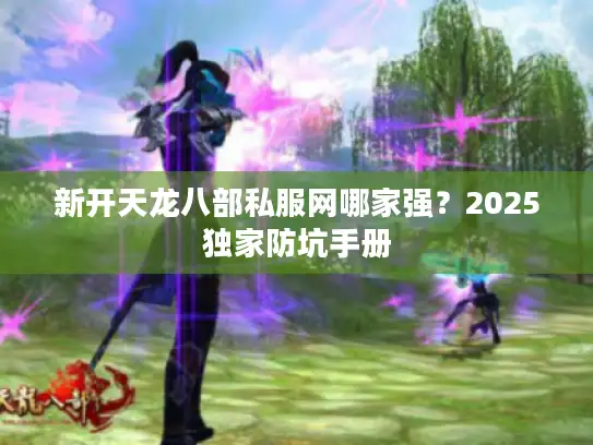 新开天龙八部私服网哪家强？2025独家防坑手册