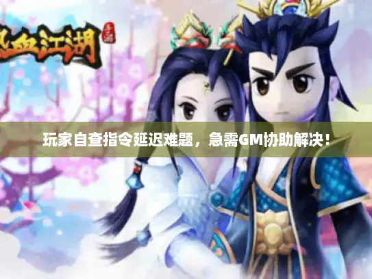 玩家自查指令延迟难题，急需GM协助解决！