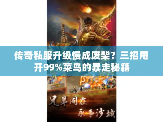 传奇私服升级慢成废柴？三招甩开99%菜鸟的暴走秘籍