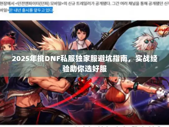 2025年挑DNF私服独家服避坑指南，实战经验助你选好服