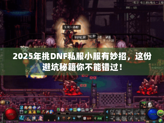 2025年挑DNF私服小服有妙招，这份避坑秘籍你不能错过！