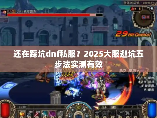 还在踩坑dnf私服？2025大服避坑五步法实测有效