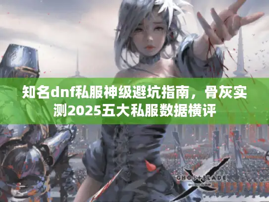 知名dnf私服神级避坑指南，骨灰实测2025五大私服数据横评