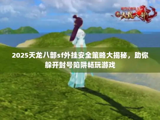 2025天龙八部sf外挂安全策略大揭秘,助你躲开封号陷阱畅玩游戏 2025天龙八部sf外挂安全策略大揭秘,助你躲开封号陷阱畅玩游戏