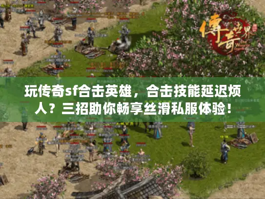 玩传奇sf合击英雄，合击技能延迟烦人？三招助你畅享丝滑私服体验！