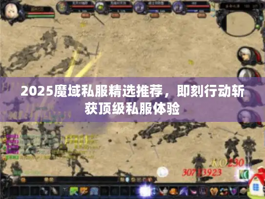 2025魔域私服精选推荐，即刻行动斩获顶级私服体验