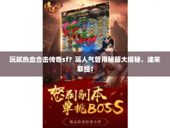 玩腻热血合击传奇sf？高人气管用秘籍大揭秘，速来取经！