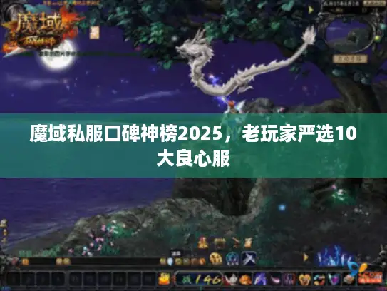 魔域私服口碑神榜2025,老玩家严选10大良心服 魔域私服口碑神榜2025,老玩家严选10大良心服
