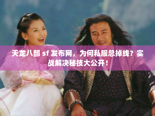 天龙八部 sf 发布网，为何私服总掉线？实战解决秘技大公开！