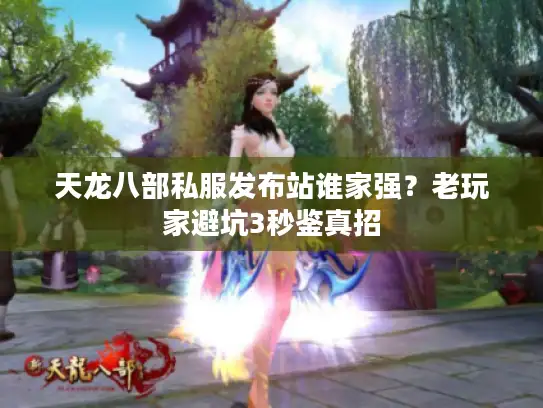 天龙八部私服发布站谁家强？老玩家避坑3秒鉴真招