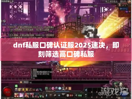 dnf私服口碑认证服2025速决，即刻筛选高口碑私服