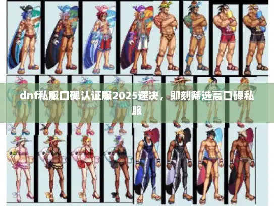 dnf私服口碑认证服2025速决，即刻筛选高口碑私服