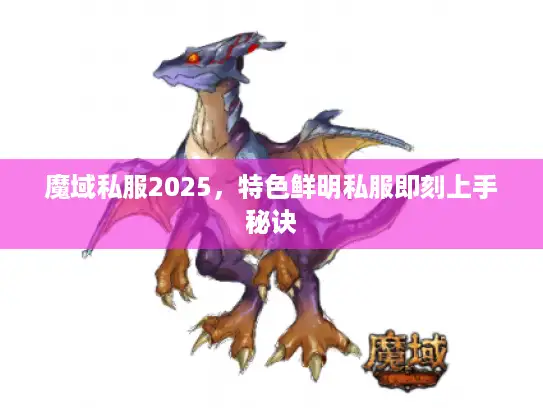 魔域私服2025，特色鲜明私服即刻上手秘诀