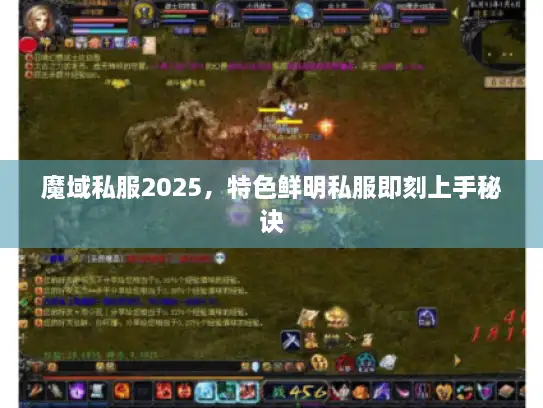 魔域私服2025，特色鲜明私服即刻上手秘诀