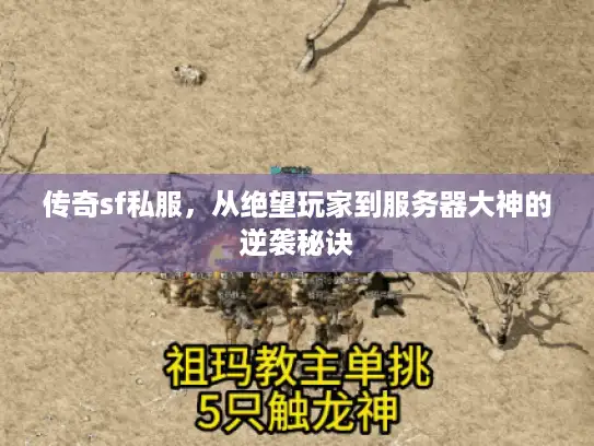 传奇sf私服，从绝望玩家到服务器大神的逆袭秘诀